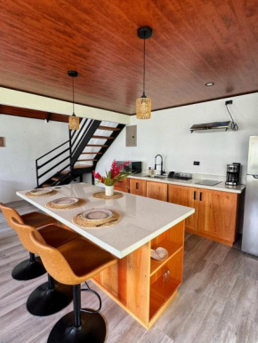 Alma Vida Lofts